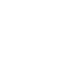 Brooks and toone logo